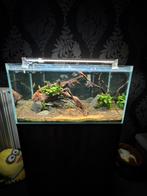 Superfish scaper 140 & qubic 60, Enlèvement, Comme neuf