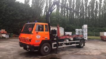 camion porte-conteneurs avec grue de chargement, Autres marques, Achat, 2 portes, Diesel