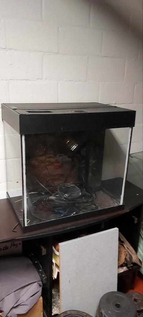 Aquarium Juwel, Dieren en Toebehoren, Vissen | Aquaria en Toebehoren, Zo goed als nieuw, Ophalen
