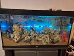 Aquarium 350l met alle toebehoren te koop, Ophalen