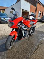 Aprilia rsv 1000 Tuono, Motos, Motos | Aprilia, Particulier