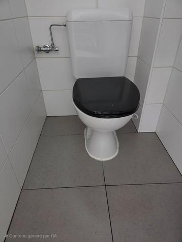WC à poser en porcelaine + réservoir + planche Allibert., Enlèvement, Utilisé