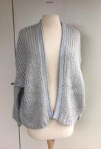 Lichtgrijze damesvest/gilet type Bernadette TU, Kleding | Dames, Millenium, Ophalen of Verzenden, Gedragen, Grijs