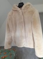 Jas, Kleding | Dames, Ophalen, Maat 38/40 (M)