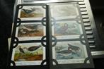 Verzameling 300 pk beschermde vogels  ed. KNM België, Ophalen of Verzenden, 1940 tot 1960, Ongelopen, Vogel