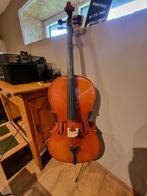 Cello Primavera 100 4/4, Muziek en Instrumenten, Strijkinstrumenten | Cello's, Ophalen, Gebruikt, 4/4-cello, Met koffer