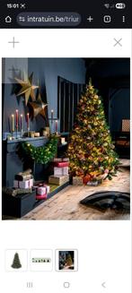 kerstboom 230cm hoog, Ophalen