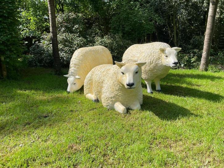 Beeld texel schapen, 3 stuks tuin, boerderij, gazon, Tuin en Terras, Tuinbeelden, Nieuw, Dierenbeeld, Kunststof, Ophalen