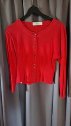 Dames golf rood kort maat 40 M bust 86 cm 100% katoen, Kleding | Dames, Ophalen of Verzenden, Zo goed als nieuw, Maat 38/40 (M)