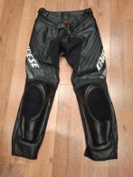 DAINESE T50 leren broek, Nieuw met kaartje, DAINESE, Broek | leer, Heren