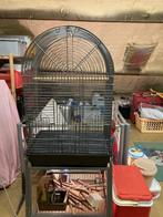 papegaai kooi, Comme neuf, Enlèvement, Métal, Cage à oiseaux