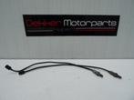 Set Lambda Sondes / Lambda sonde Ducati Panigale V2 2020 >, Ophalen of Verzenden, Gebruikt