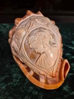 Prachtige camee schelp, Antiek en Kunst, Ophalen of Verzenden