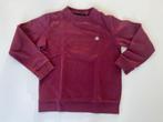 Sweater Element 12 jaar, Kinderen en Baby's, Kinderkleding | Maat 152, Gebruikt, Trui of Vest, Ophalen of Verzenden, Jongen