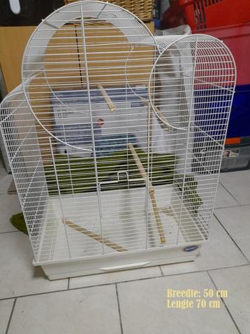 Vogelkooi beschikbaar voor biedingen