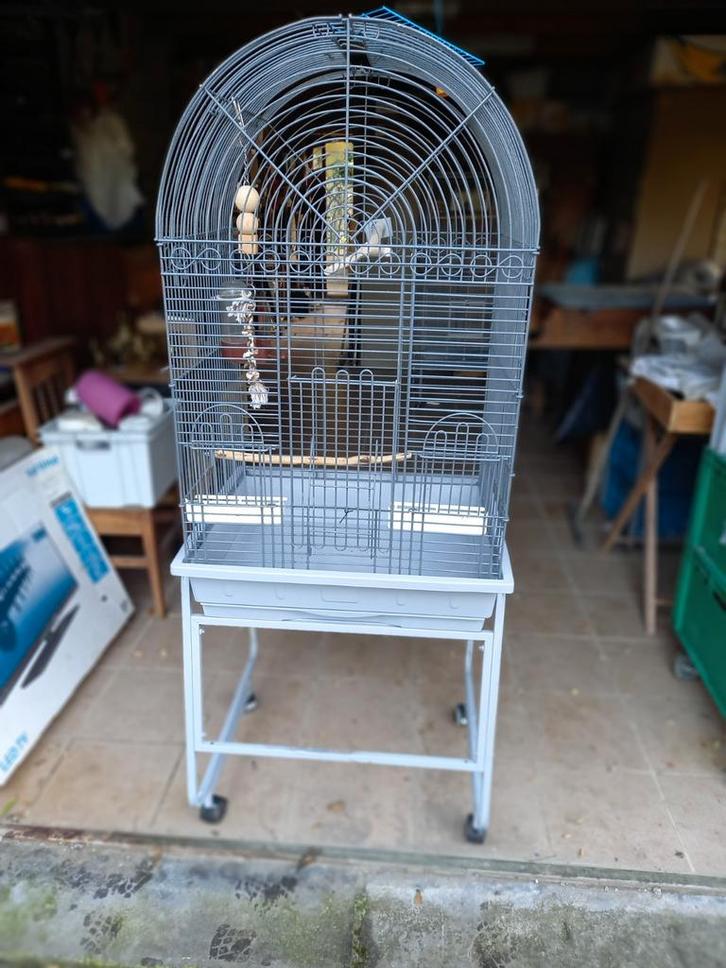 Cage volière d'intérieur sur roulettes, Dieren en Toebehoren, Vogels | Hokken en Kooien, Gebruikt, Volière, Metaal, Ophalen
