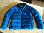 Veste hiver Hugo Boss XL (État neuf), Enlèvement, Comme neuf