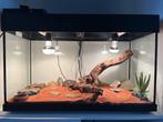Terarium en aquarium, Ophalen, Gebruikt, Terrarium of Paludarium