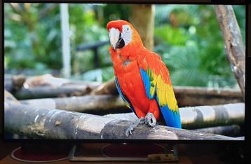 4K SONY Bravia 140 cm/55" UltraHD Smartwifi Gloednieuwe voet beschikbaar voor biedingen