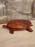 Handgesneden schildpad doosje, Antiek en Kunst, Ophalen