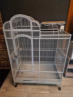 Cage perruche/ perroquet, Enlèvement