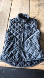 Bodywarmer, Dieren en Toebehoren, Paardrijkleding, Gebruikt, Ophalen