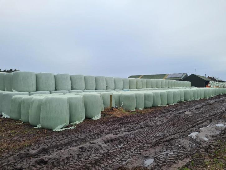 balles de maïs à vendre, Animaux & Accessoires, Nourriture pour Animaux, Autres espèces, Enlèvement ou Envoi