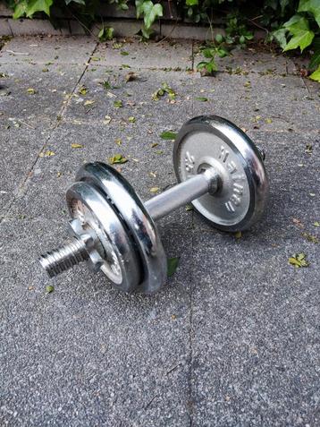 Ijzeren Dumbbell - 10 KG beschikbaar voor biedingen