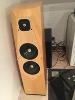 Avalon ascendant mk2 te koop, Audio, Tv en Foto, Luidsprekerboxen, Ophalen, Zo goed als nieuw, Front, Rear of Stereo speakers