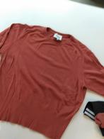 Trui CKS, Kleding | Dames, Maat 42/44 (L), Ophalen of Verzenden, CKS, Gedragen