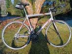 Olympia Flash Team Campagnolo Mirage Large, Gebruikt, 26 inch, Aluminium, 15 tot 20 versnellingen