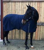Super brave merrie, Dieren en Toebehoren, Paarden, Merrie, Recreatiepaard