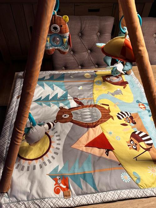 Speelmat Skip hop, Kinderen en Baby's, Speelgoed | Speelkleden, Zo goed als nieuw, Ophalen