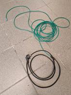 Warmteslang, Tuin en Terras, Planten | Bomen, Ophalen, Volle zon, Palmboom, 100 tot 250 cm