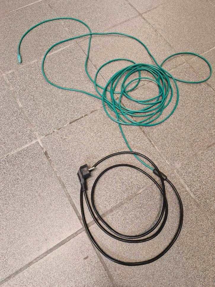 Warmteslang, Tuin en Terras, Planten | Bomen, Palmboom, 100 tot 250 cm, Volle zon, Ophalen