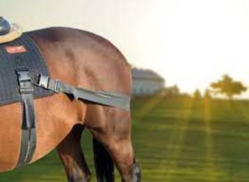 EQUINE RENTAL SERVICES: verhuur equi-band (equicore concepts beschikbaar voor biedingen