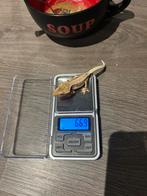 Wimpergekko, Dieren en Toebehoren