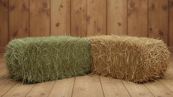 Te koop : bundels hooi en stro beschikbaar voor biedingen