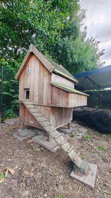 Poulailler Hortum de luxe + Chicken Guard, Enlèvement, Comme neuf, Poulailler
