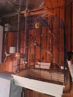 2 grand cage débarrasser, Dieren en Toebehoren, Ophalen of Verzenden, Zo goed als nieuw