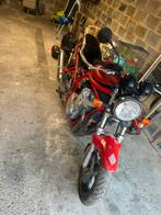 Bandit 600, Motos, Particulier