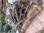 Gratis brandhout, Tuin en Terras, Brandhout, Ophalen