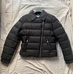 Gewatteerde Winterjas met afneembare donskraagje, Kleding | Dames, Prada, Zwart, Zo goed als nieuw, Ophalen