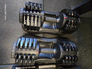 verstelbare dumbells disponible aux enchères