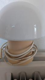 Lampe champignon ‍, Enlèvement