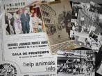 15 photos manifestation animaux Bruxelles Belgique + revue, Envoi, Utilisé, Animal, Photo