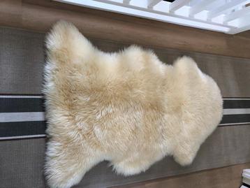 Grande peau de mouton beschikbaar voor biedingen