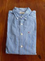 Hemd Hollister - maat L, Kleding | Heren, Overhemden, Ophalen, Blauw, Zo goed als nieuw, Halswijdte 41/42 (L)