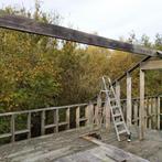 Ribben DOUGLAS, Doe-het-zelf en Bouw, Ophalen, Zo goed als nieuw, Balk