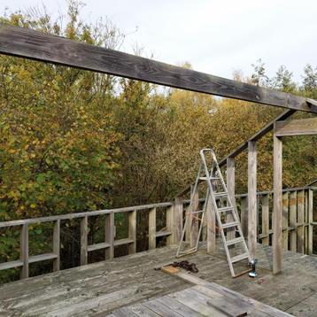 Ribben DOUGLAS beschikbaar voor biedingen
